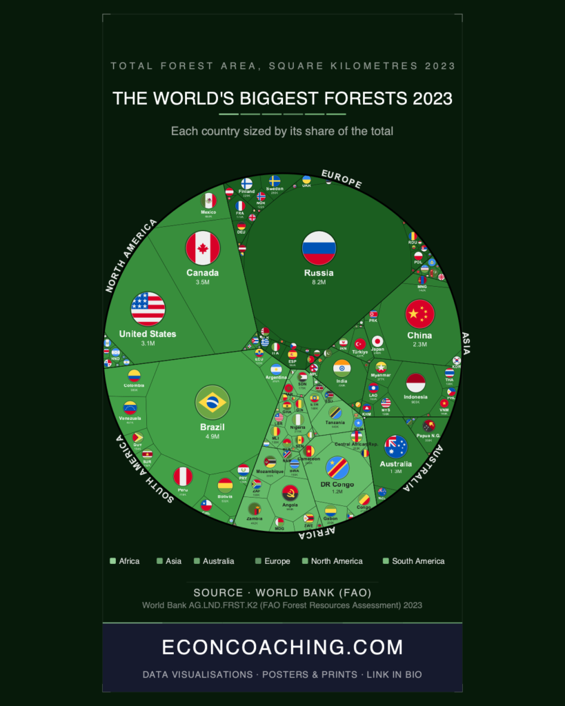 Forest Area 2023: The Five-Country Monopoly Shaping the Planet's Carbon Future