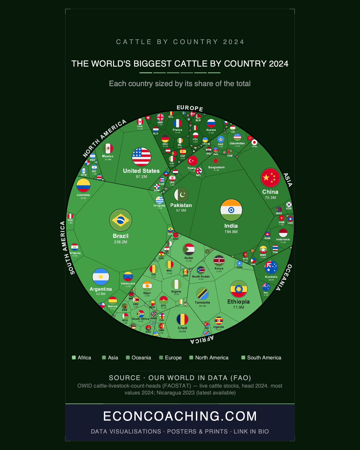 Cattle by Country 2024: The Brazil-India Paradox Behind the World's Largest Herds